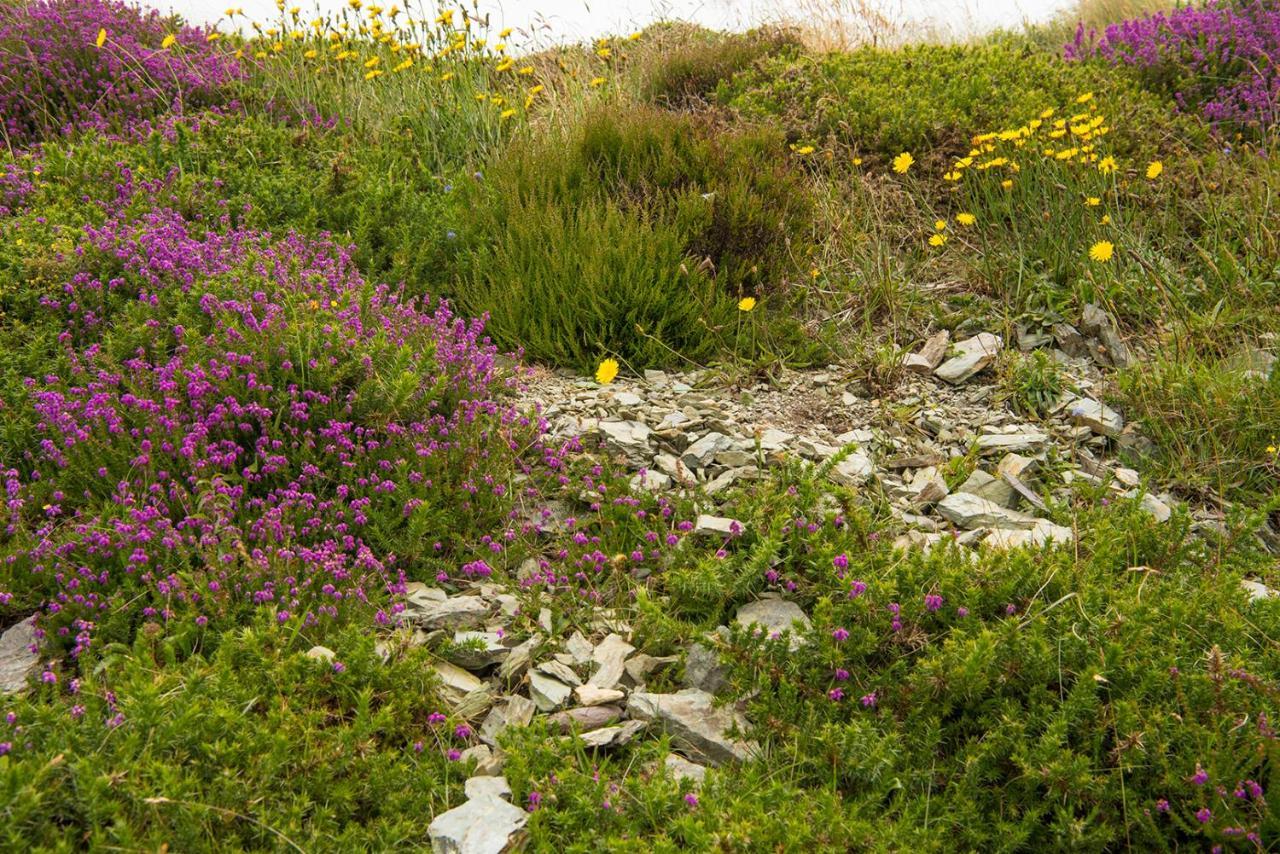 Ring Of Kerry - Einmaliger Blick Auf Skelligs Clynacartan Exterior foto